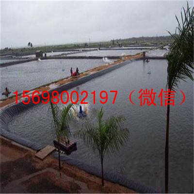 魚(yú)塘土工膜
